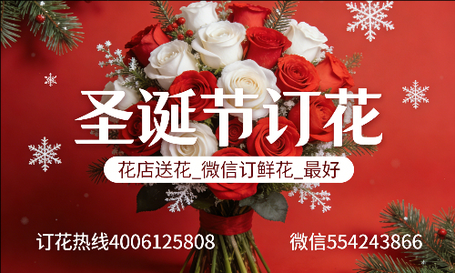 ��ݸ����