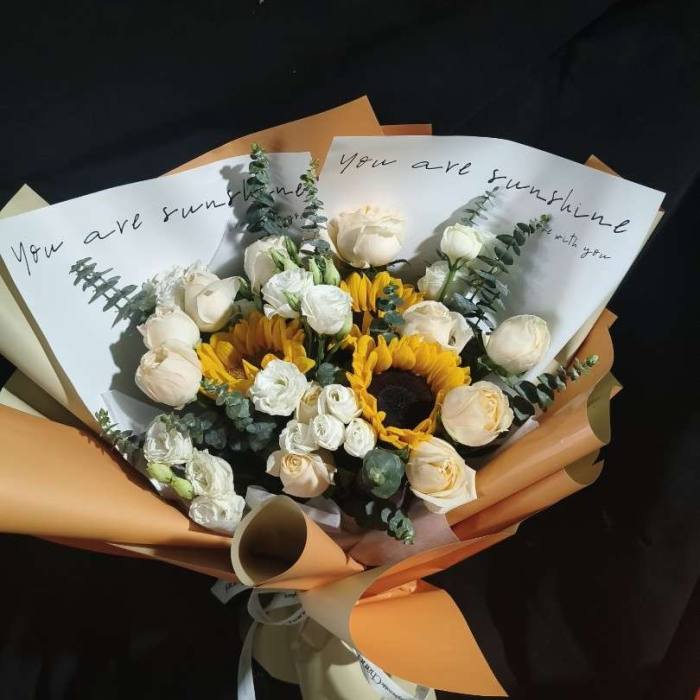 ��ݸ����