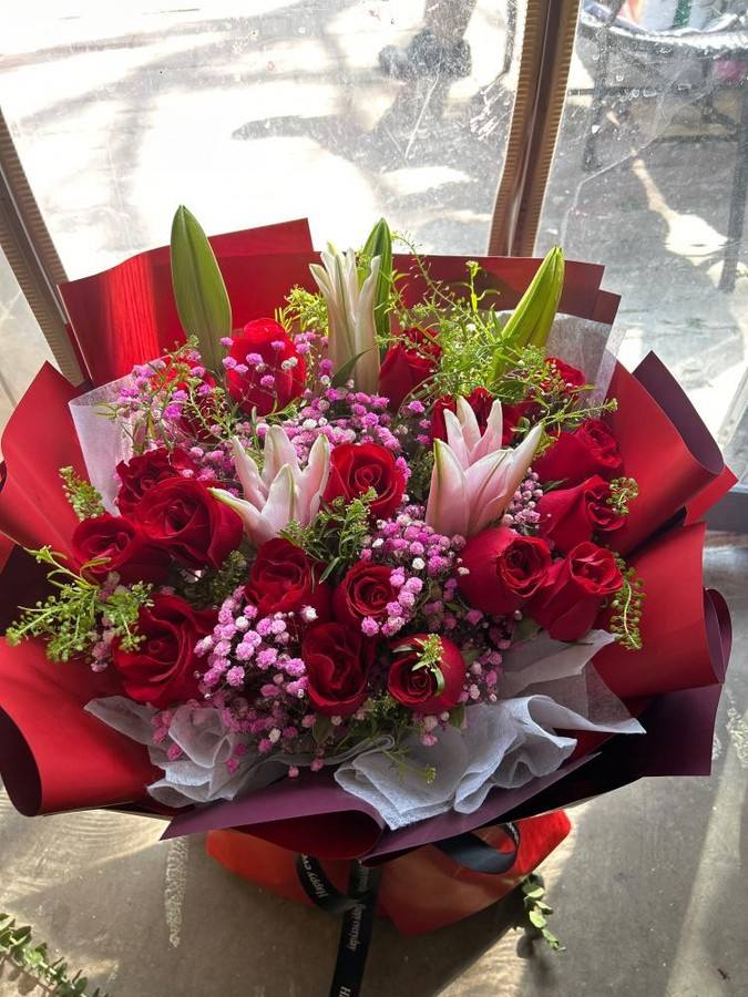 ��ݸ����