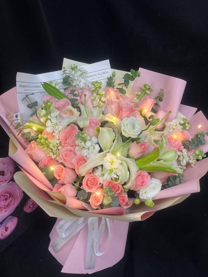 ��ݸ����