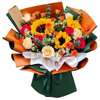 ��ݸ����